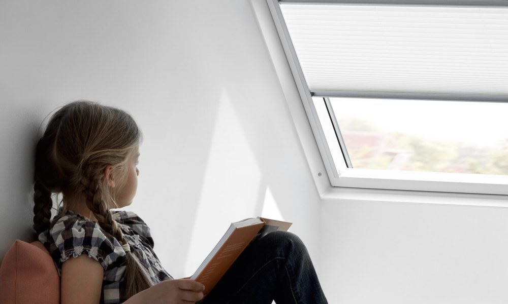 velux-vdkl-plus-close-up-id10056018